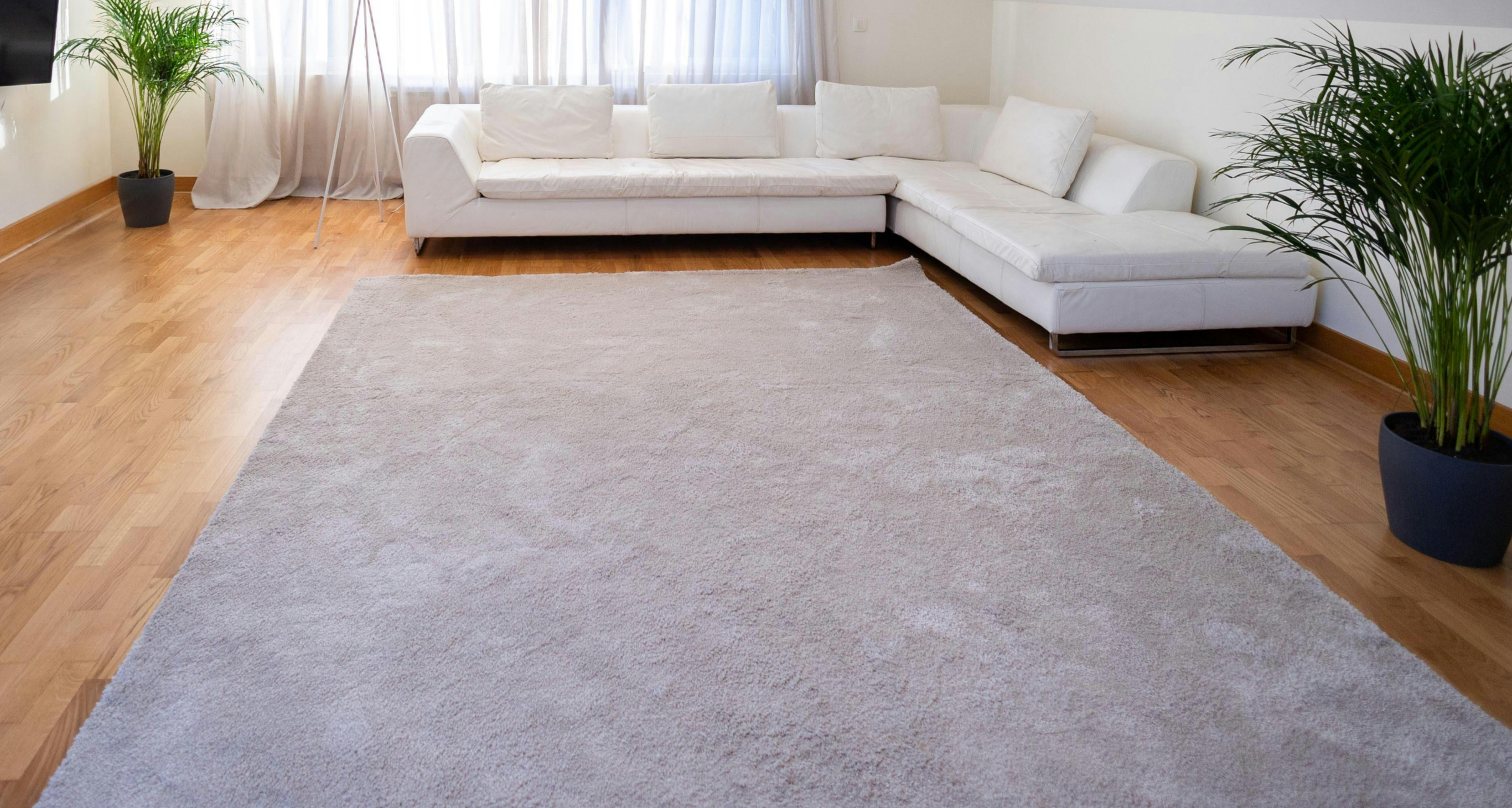 Shaggy Rugs & Carpets